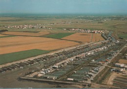 BEAUVOIR-sur-MER - Le Port Du Bec - - Beauvoir Sur Mer