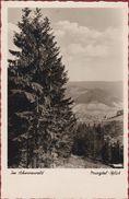 Schwarzwald Murgtal Blick Baden-Württemberg Duitsland Deutschland Germany - Andere & Zonder Classificatie