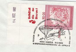 1989 PARASKI Parachuting EVENT COVER DAMULS Austria Sport Ski Parachute  Stamps Save Bees Bee Insect Label  Skiing - Paracaidismo