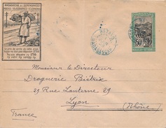 Entier Postal PTT CaD Bleu Betafo Pour Lyon - Lettres & Documents