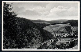 A9228 - Wildemann - Panorama Vom Galgenberg - Hans Andres - Novochrom 663 - Wildemann