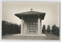 Ardèche 07 - Satillieu Cénotaphe élevé A La Mémoire De Glaizal Emile Maire Et Fondateur Des Tsr Carte Photo - Sonstige & Ohne Zuordnung