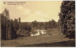 Château De GROOTENBERGE - Zottegem - Zicht Op Den Hof - Zottegem