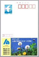 TARAXACUM OFFICINALE. Diente De Leon. Echo Card De Japon - Other