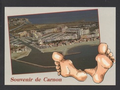 DF / 34 HERAULT / MAUGUIO-CARNON / CARNON-PLAGE / SOUVENIR DE CARNON - VUE AÉRIENNE DU PORT - Mauguio