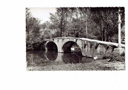 Cpm - 21 - LES LAUMES - Le Pont Des Romains - Croix En Pierre - Poule - Cim - 1955 - Venarey Les Laumes
