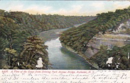 New York Rochester View Of The Gorge From Driving Park Avenue Bridge 1907 - Rochester