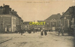 72 Conlie, Place Des Halles, Le Marché, Belle Animation, Cliché Pas Très Courant - Conlie