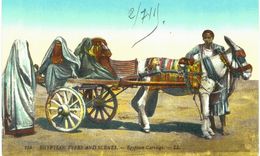 Afrique - Egypte -  Egyptian Carriage - Attelage Egyptien - Personen