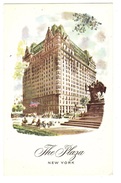 NEW YORK - THE PLAZA - HOTEL - Colored Card - Central Park