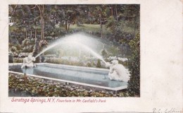 New York Saratoga Springs Fountain In Mr Canfield's Park 1907 - Saratoga Springs