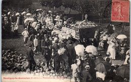 28 - MONTIGNY Le GANNELON -- Procession De Ste Félicité - Montigny-le-Gannelon