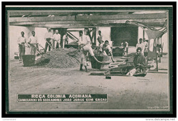 S. TOMÉ E PRÍNCIPE-Roça Colonia Açoriana-Carregando Os Seccadores S. Jorge Com Cacau (Ed. "A Ilustradora") Carte Postale - Sao Tome En Principe