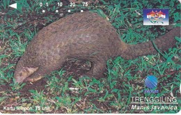 TARJETA DE INDONESIA DE UN ARMADILLO - PANGOLIN - Indonesia