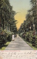 Florida Palm Beach Ocean Avenue 1909 - Palm Beach