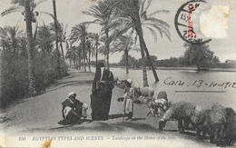 Egyptian Types And Scenes (Egypte, Paysage Au Bord Du Nil) - Landscape On The Shores Of The Nile - Carte LL N° 150 - Personas