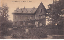 69  : Rhone :   Brignais . Chateau Du Bois . - Brignais