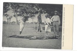 18297 - Somalia Italiana Coccodrillo Ucciso Sulle Sponde Dell'Uebi Scebelli - Somalia