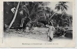 CPA Guadeloupe Pointe à Pitre édition PHOS Métier Non Circulé Martinique Cocos Dos Non Séparé - Pointe A Pitre
