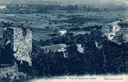 07 ROCHEMAURE DANS LES RUINES DU CHATEAU - Rochemaure