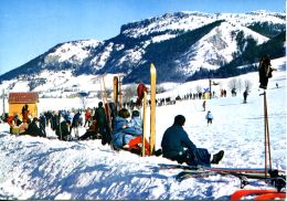 N°59800 GF-cpsm -Lans En Vercors -départ Des Pistes- - Sports D'hiver