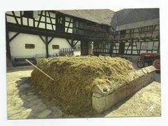 67 - Bas Rhin -écrite De Strasbourg - Prestige Alsace P54 Cap Théojac - Ferme Tracteur Foin - Strasbourg