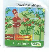 8 MG - MAGNET - SAVEOL - FRUITS ET LEGUMES - LA RECOLTE - Publicitaires