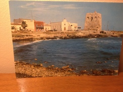 Cartolina Foca Lecce Panorama Viaggiata 1970 - Lecce