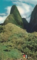 Hawaii Maui The Needle In Iao Valley - Maui