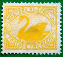 WESTERN AUSTRALIA 1902 2d Swan Mint No Gum WATERMARK : V & CROWN - Used Stamps