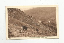 Cp , Agriculture,élevage , LES HAUTES CHAUMES , Paturage Au Dessous Du Gazon De FAING , Vaches , Vosges - Viehzucht