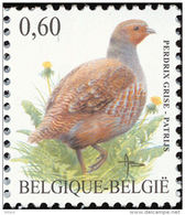 Belgique. Belgium. 2005. Perdrix Grise. Perdix Perdix - Perdrix, Cailles