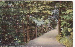 New York Rochester Rustic Bridge In Park 1908 - Rochester
