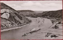 Binnenschip Barge Peniche Boat Ship Bingen Am Rhein Rheinland-Pfalz - Embarcaciones