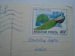 D155686  Hungary  Gyula - Castle -   PEACOCK - Pavo Cristatus - Bird  Paon Pfau - Pfauen