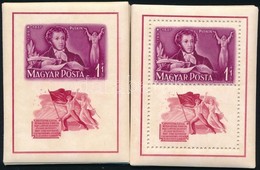 ** 1949 Puskin 22 Fogazott + 26 Vágott Blokk (120.000) / Mi Block 14 22 Perforated + 26 Imperforate Blocks - Altri & Non Classificati