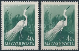 ** 1959 Madarak 40f Fehér Lábú Kócsag + Támpéldány - Altri & Non Classificati