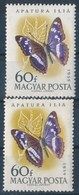 ** 1959 Lepke 60f Lepkeszárnyon Kettős Fehér Csík (6.000) - Altri & Non Classificati