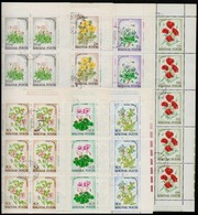 O 1973 Virág (XI.) - Erdő-mező Virágai 2 Teljes ívsor 40-as ívekben (17.000) - Altri & Non Classificati