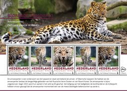 Nederland  2017  Bedreigde Dieren  Endangered Animals  14  PANTER     Blok-m/s    Postfris/mnh/neuf - Neufs