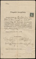 1913 Vizsgálati Bizonyítvány A M. Kir. Technológiai Iparmúzeumban Tartott Nyersolajmotorok Kezelési Tanfolyamáról Az Iga - Non Classificati