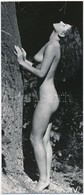 Cca 1979 Jelzés Nélküli Fotóművészeti Alkotások, 2 Db Vintage Fotó, 26,5x11,5 Cm és 18,5x28,5 Cm / 2 Erotic Photos - Altri & Non Classificati