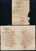 1944 Vöröskeresztes Laboráns Igazolványa és Igazolása, Munkaszolgálatos Részére, Az Egyik Fényképpel, Pecsétekkel, Aláír - Altri & Non Classificati