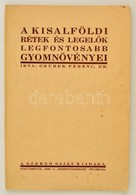 Grúber Ferenc: A Kisalföldi Rétek és Legelők Legfontosabb Gyomnövényei. Magyaróvár, 1939, Szerzői. Papírkötésben, Jó áll - Non Classificati