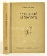 Nyárády Antal: A Méhlegelő és Növényei. Bukarest, 1958, Földművelésügyi és Erdészeti Minisztérium - Mezőgazdasági és Erd - Non Classificati