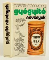 Rápóti Jenő-Romváry Vilmos: Gyógyító Növények. Bp., 1991, Medicina. Kiadói Kartonált Papírkötésben. - Non Classificati