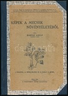 Horvát Adolf: Képek A Mecsek Növényéletéből. Pécs, 1942, Ciszterci Rend. Újrakötött Félvászon Kötés, Képekkel Illusztrál - Non Classificati