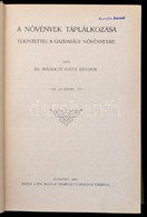 Dr. Mágocsy-Dietz Sándor: A Növények Táplálkozása Tekintettel A Gazdasági Növényekre. Bp., 1909, Kir. Magyar Természettu - Non Classificati