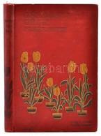 Gárdonyi Géza: Fehér Anna. Betyár-történet 3 Felvonásban. Bp.,1906, Singer és Wolfner, 121 P.+4 T. Fekete-fehér Egészold - Non Classificati