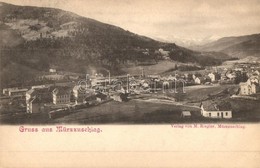 T2 1899 Mürzzuschlag, General View. M. Riegler - Non Classificati